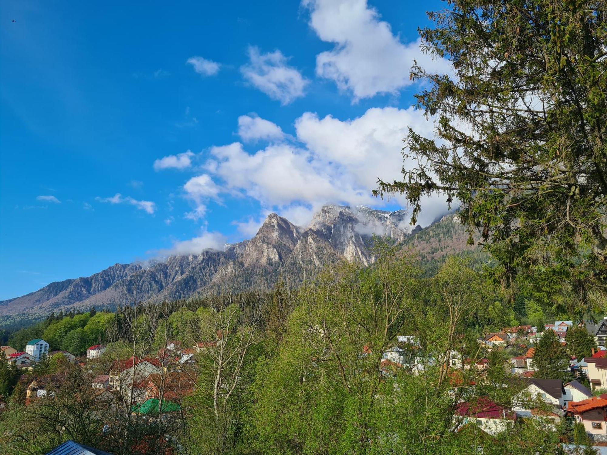 Casa Florescu Szászbuda Kültér fotó