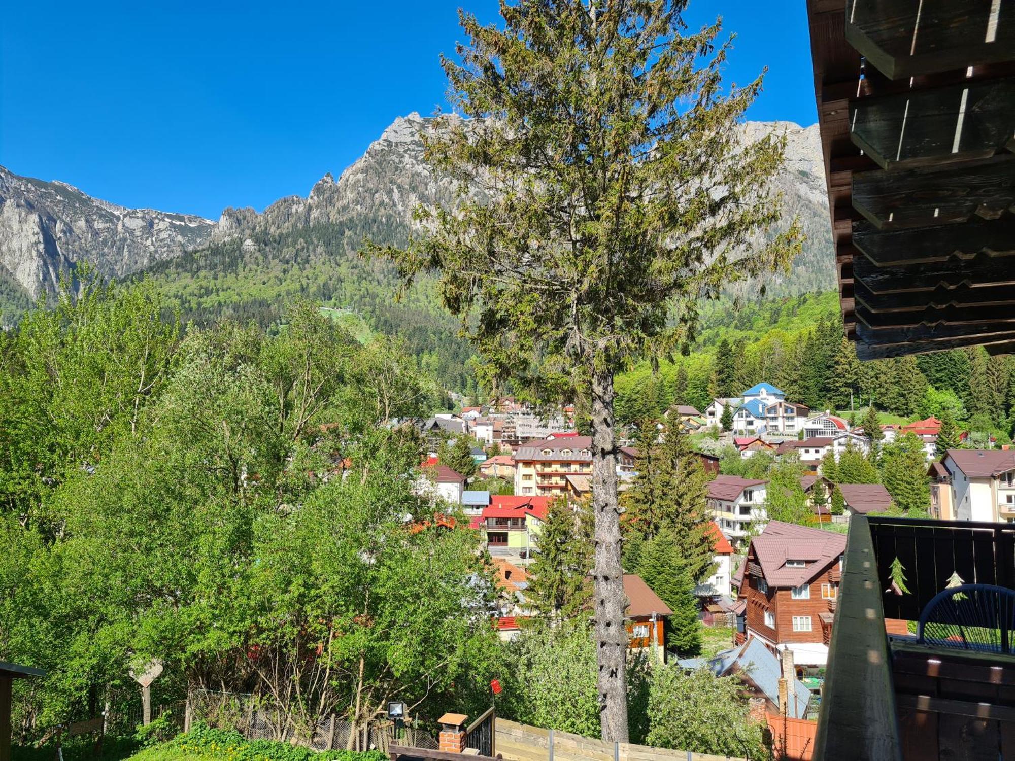 Casa Florescu Szászbuda Kültér fotó