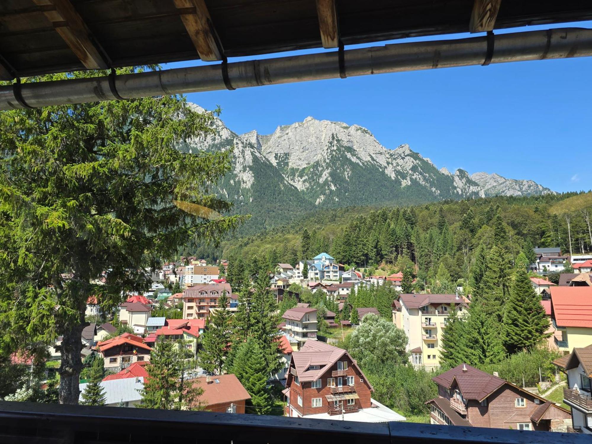 Casa Florescu Szászbuda Kültér fotó